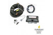 Инжекторная система STAG-300-6 QMAX BASIC 6 цилиндров, разъем типа Valtek, без датчика темп. ред., LED-300