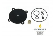 Ремкомплект для редуктора Romano RRIS/14M (Romano RRIS/14) (RKRRMG/14)