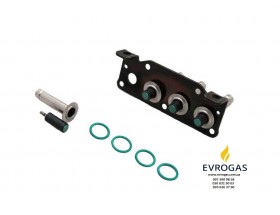 Рк рампы форсунок Газель Бизнес с ГБО суперлайт (OMVL Spa Padova)